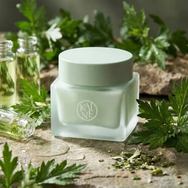 Kaine Green Calm Aqua Cream - 70ml